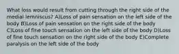 What loss would result from cutting through the right side of the medial lemniscus? A)Loss of pain sensation on the left side of the body B)Loss of pain sensation on the right side of the body C)Loss of fine touch sensation on the left side of the body D)Loss of fine touch sensation on the right side of the body E)Complete paralysis on the left side of the body