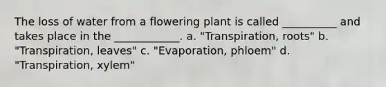 The loss of water from a flowering plant is called __________ and takes place in the ____________. a. "Transpiration, roots" b. "Transpiration, leaves" c. "Evaporation, phloem" d. "Transpiration, xylem"