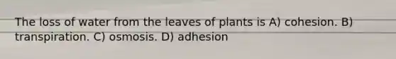 The loss of water from the leaves of plants is A) cohesion. B) transpiration. C) osmosis. D) adhesion