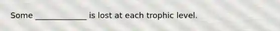 Some _____________ is lost at each trophic level.