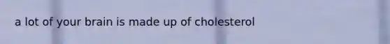 a lot of your brain is made up of cholesterol