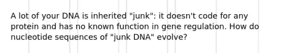 A lot of your DNA is inherited "junk": it doesn't code for any protein and has no known function in gene regulation. How do nucleotide sequences of "junk DNA" evolve?