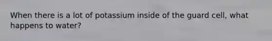 When there is a lot of potassium inside of the guard cell, what happens to water?