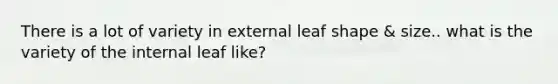 There is a lot of variety in external leaf shape & size.. what is the variety of the internal leaf like?