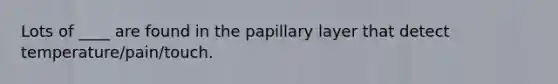 Lots of ____ are found in the papillary layer that detect temperature/pain/touch.