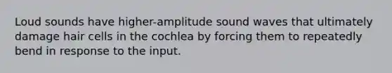 Loud sounds have higher-amplitude sound waves that ultimately damage hair cells in the cochlea by forcing them to repeatedly bend in response to the input.