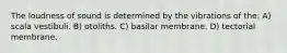 The loudness of sound is determined by the vibrations of the: A) scala vestibuli. B) otoliths. C) basilar membrane. D) tectorial membrane.