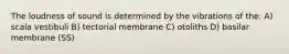 The loudness of sound is determined by the vibrations of the: A) scala vestibuli B) tectorial membrane C) otoliths D) basilar membrane (SS)