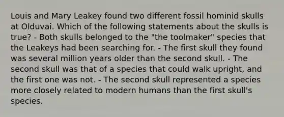 Louis and Mary Leakey found two different fossil hominid skulls at Olduvai. Which of the following statements about the skulls is true? - Both skulls belonged to the "the toolmaker" species that the Leakeys had been searching for. - The first skull they found was several million years older than the second skull. - The second skull was that of a species that could walk upright, and the first one was not. - The second skull represented a species more closely related to modern humans than the first skull's species.