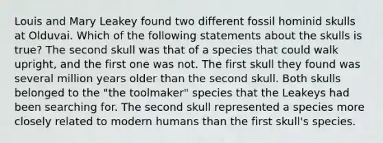 Louis and Mary Leakey found two different fossil hominid skulls at Olduvai. Which of the following statements about the skulls is true? The second skull was that of a species that could walk upright, and the first one was not. The first skull they found was several million years older than the second skull. Both skulls belonged to the "the toolmaker" species that the Leakeys had been searching for. The second skull represented a species more closely related to modern humans than the first skull's species.