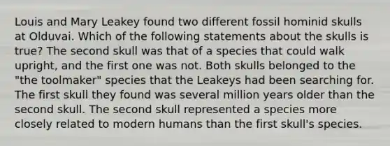 Louis and Mary Leakey found two different fossil hominid skulls at Olduvai. Which of the following statements about the skulls is true? The second skull was that of a species that could walk upright, and the first one was not. Both skulls belonged to the "the toolmaker" species that the Leakeys had been searching for. The first skull they found was several million years older than the second skull. The second skull represented a species more closely related to modern humans than the first skull's species.