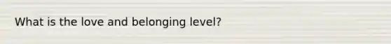 What is the love and belonging level?