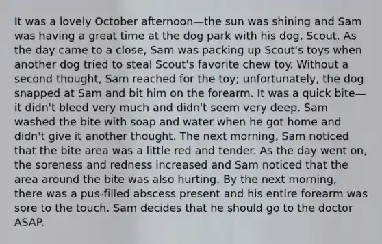 It was a lovely October afternoon—the sun was shining and Sam was having a great time at the dog park with his dog, Scout. As the day came to a close, Sam was packing up Scout's toys when another dog tried to steal Scout's favorite chew toy. Without a second thought, Sam reached for the toy; unfortunately, the dog snapped at Sam and bit him on the forearm. It was a quick bite—it didn't bleed very much and didn't seem very deep. Sam washed the bite with soap and water when he got home and didn't give it another thought. The next morning, Sam noticed that the bite area was a little red and tender. As the day went on, the soreness and redness increased and Sam noticed that the area around the bite was also hurting. By the next morning, there was a pus-filled abscess present and his entire forearm was sore to the touch. Sam decides that he should go to the doctor ASAP.