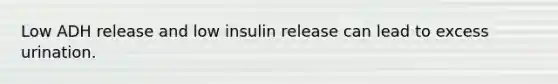 Low ADH release and low insulin release can lead to excess urination.