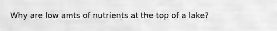 Why are low amts of nutrients at the top of a lake?