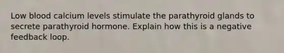 Low blood calcium levels stimulate the parathyroid glands to secrete parathyroid hormone. Explain how this is a negative feedback loop.