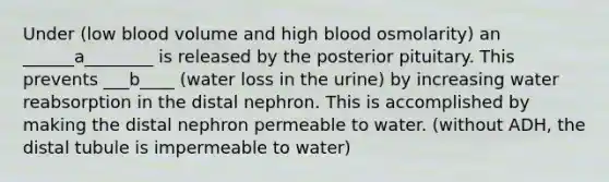 Under (low blood volume and high blood osmolarity) an ______a________ is released by the posterior pituitary. This prevents ___b____ (water loss in the urine) by increasing water reabsorption in the distal nephron. This is accomplished by making the distal nephron permeable to water. (without ADH, the distal tubule is impermeable to water)