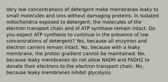 Very low concentrations of detergent make membranes leaky to small molecules and ions without damaging proteins. In isolated mitochondria exposed to detergent, the molecules of the electron transport chain and of ATP synthase remain intact. Do you expect ATP synthesis to continue in the presence of low concentrations of detergent? Yes, because all enzymes and electron carriers remain intact. No, because with a leaky membrane, the proton gradient cannot be maintained. No, because leaky membranes do not allow NADH and FADH2 to donate their electrons to the electron transport chain. No, because leaky membranes inhibit glycolysis.