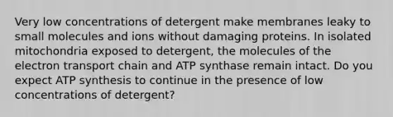 Very low concentrations of detergent make membranes leaky to small molecules and ions without damaging proteins. In isolated mitochondria exposed to detergent, the molecules of <a href='https://www.questionai.com/knowledge/k57oGBr0HP-the-electron-transport-chain' class='anchor-knowledge'>the electron transport chain</a> and ATP synthase remain intact. Do you expect <a href='https://www.questionai.com/knowledge/kx3XpCJrFz-atp-synthesis' class='anchor-knowledge'>atp synthesis</a> to continue in the presence of low concentrations of detergent?