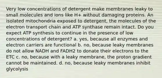 Very low concentrations of detergent make membranes leaky to small molecules and ions like H+ without damaging proteins. An isolated mitochondria exposed to detergent, the molecules of <a href='https://www.questionai.com/knowledge/k57oGBr0HP-the-electron-transport-chain' class='anchor-knowledge'>the electron transport chain</a> and ATP synthase remain intact. Do you expect <a href='https://www.questionai.com/knowledge/kx3XpCJrFz-atp-synthesis' class='anchor-knowledge'>atp synthesis</a> to continue in the presence of low concentrations of detergent? a. yes, because all enzymes and electron carriers are functional b. no, because leaky membranes do not allow NADH and FADH2 to donate their electrons to the ETC c. no, because with a leaky membrane, the proton gradient cannot be maintained. d. no, because leaky membranes inhibit glycolysis