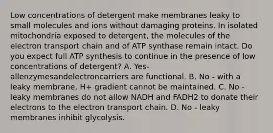 Low concentrations of detergent make membranes leaky to small molecules and ions without damaging proteins. In isolated mitochondria exposed to detergent, the molecules of the electron transport chain and of ATP synthase remain intact. Do you expect full ATP synthesis to continue in the presence of low concentrations of detergent? A. Yes-allenzymesandelectroncarriers are functional. B. No - with a leaky membrane, H+ gradient cannot be maintained. C. No - leaky membranes do not allow NADH and FADH2 to donate their electrons to the electron transport chain. D. No - leaky membranes inhibit glycolysis.