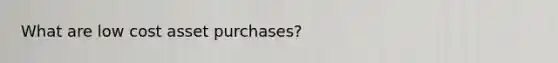 What are low cost asset purchases?