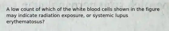 A low count of which of the white blood cells shown in the figure may indicate radiation exposure, or systemic lupus erythematosus?