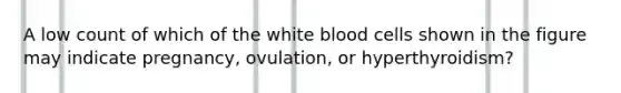 A low count of which of the white blood cells shown in the figure may indicate pregnancy, ovulation, or hyperthyroidism?