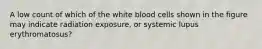 A low count of which of the white blood cells shown in the figure may indicate radiation exposure, or systemic lupus erythromatosus?