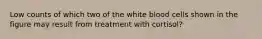 Low counts of which two of the white blood cells shown in the figure may result from treatment with cortisol?