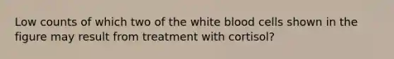 Low counts of which two of the white blood cells shown in the figure may result from treatment with cortisol?