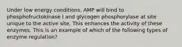 Under low energy conditions, AMP will bind to phosphofructokinase I and glycogen phosphorylase at site unique to the active site. This enhances the activity of these enzymes. This is an example of which of the following types of enzyme regulation?