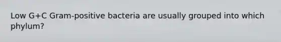 Low G+C Gram-positive bacteria are usually grouped into which phylum?