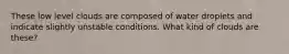 These low level clouds are composed of water droplets and indicate slightly unstable conditions. What kind of clouds are these?