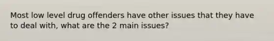 Most low level drug offenders have other issues that they have to deal with, what are the 2 main issues?