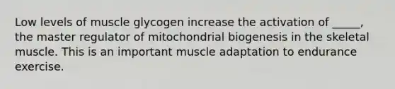 Low levels of muscle glycogen increase the activation of _____, the master regulator of mitochondrial biogenesis in the skeletal muscle. This is an important muscle adaptation to endurance exercise.