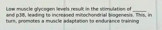 Low muscle glycogen levels result in the stimulation of ______ and p38, leading to increased mitochondrial biogenesis. This, in turn, promotes a muscle adaptation to endurance training