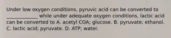 Under low oxygen conditions, pyruvic acid can be converted to _____________ while under adequate oxygen conditions, lactic acid can be converted to A. acetyl COA; glucose. B. pyruvate; ethanol. C. lactic acid; pyruvate. D. ATP; water.