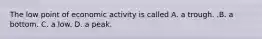 The low point of economic activity is called A. a trough. .B. a bottom. C. a low. D. a peak.