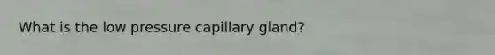 What is the low pressure capillary gland?