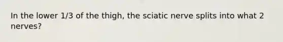 In the lower 1/3 of the thigh, the sciatic nerve splits into what 2 nerves?