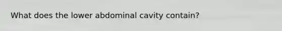 What does the lower abdominal cavity contain?