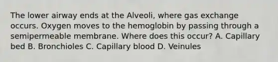 The lower airway ends at the Alveoli, where gas exchange occurs. Oxygen moves to the hemoglobin by passing through a semipermeable membrane. Where does this occur? A. Capillary bed B. Bronchioles C. Capillary blood D. Veinules