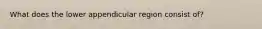 What does the lower appendicular region consist of?