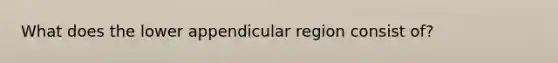 What does the lower appendicular region consist of?