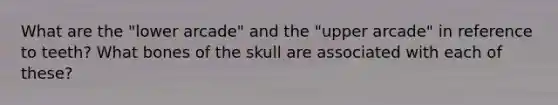 What are the "lower arcade" and the "upper arcade" in reference to teeth? What bones of the skull are associated with each of these?