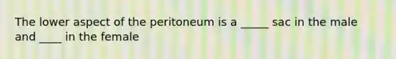 The lower aspect of the peritoneum is a _____ sac in the male and ____ in the female