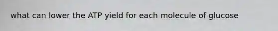 what can lower the ATP yield for each molecule of glucose