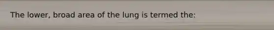 The lower, broad area of the lung is termed the: