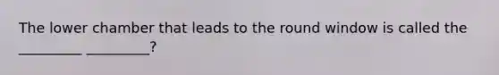 The lower chamber that leads to the round window is called the _________ _________?